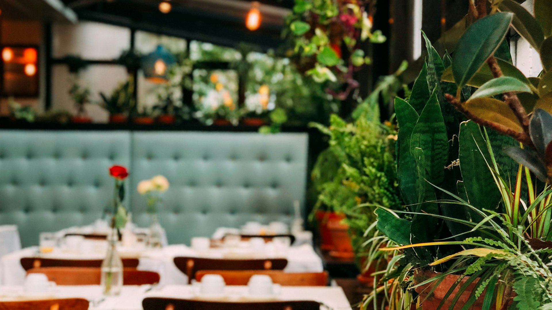 Artistic food plating